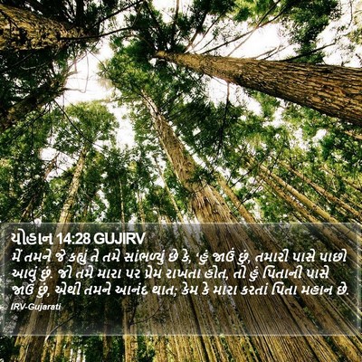 યોહાન 14:28 GUJIRV Bible Verse Image