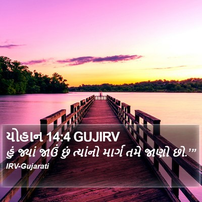 યોહાન 14:4 GUJIRV Bible Verse Image