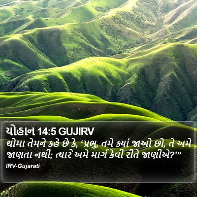 યોહાન 14:5 GUJIRV Bible Verse Image