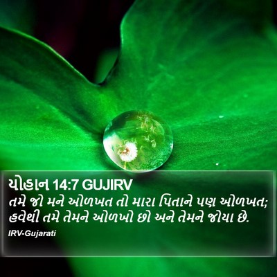 યોહાન 14:7 GUJIRV Bible Verse Image