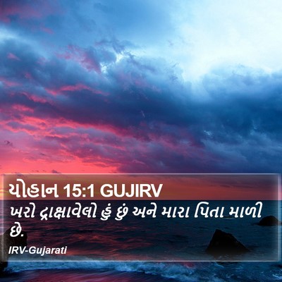 યોહાન 15:1 GUJIRV Bible Verse Image