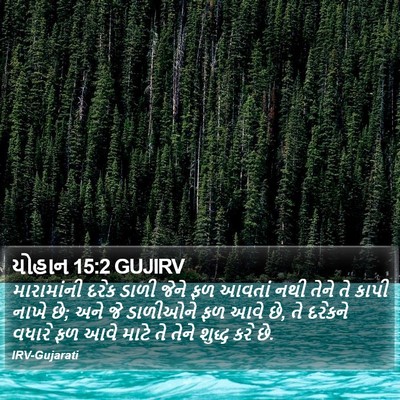 યોહાન 15:2 GUJIRV Bible Verse Image