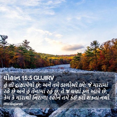 યોહાન 15:5 GUJIRV Bible Verse Image