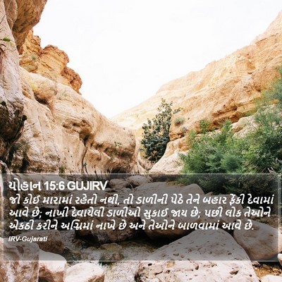યોહાન 15:6 GUJIRV Bible Verse Image