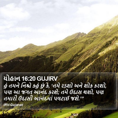 યોહાન 16:20 GUJIRV Bible Verse Image