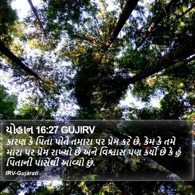 યોહાન 16:27 GUJIRV Bible Verse Image