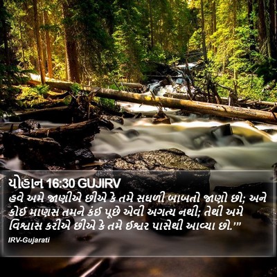 યોહાન 16:30 GUJIRV Bible Verse Image