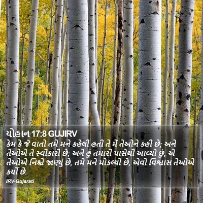 યોહાન 17:8 GUJIRV Bible Verse Image