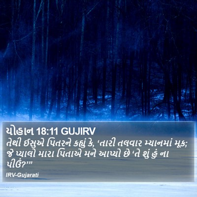 યોહાન 18:11 GUJIRV Bible Verse Image