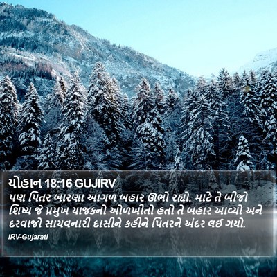 યોહાન 18:16 GUJIRV Bible Verse Image