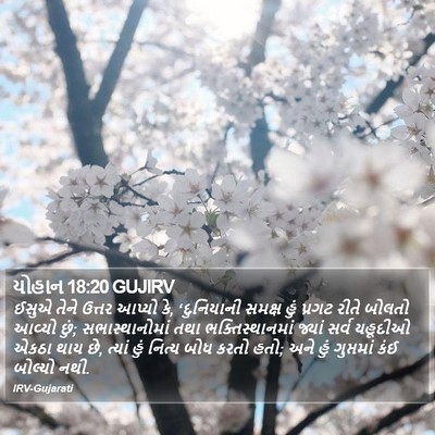 યોહાન 18:20 GUJIRV Bible Verse Image