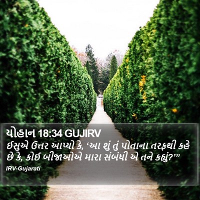 યોહાન 18:34 GUJIRV Bible Verse Image