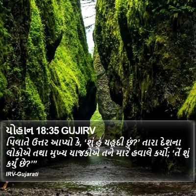 યોહાન 18:35 GUJIRV Bible Verse Image