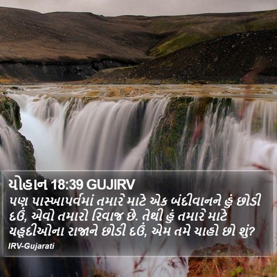 યોહાન 18:39 GUJIRV Bible Verse Image