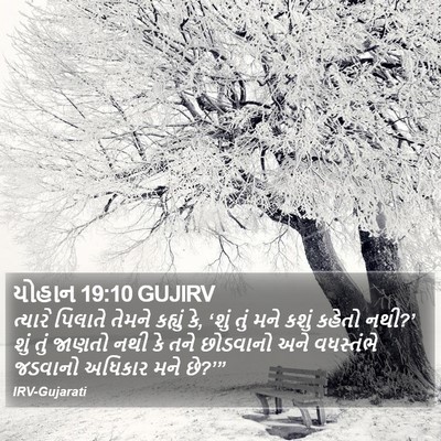 યોહાન 19:10 GUJIRV Bible Verse Image