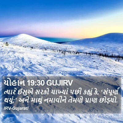યોહાન 19:30 GUJIRV Bible Verse Image