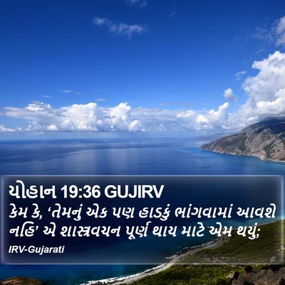 યોહાન 19:36 GUJIRV Bible Verse Image