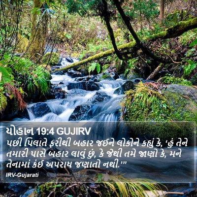 યોહાન 19:4 GUJIRV Bible Verse Image