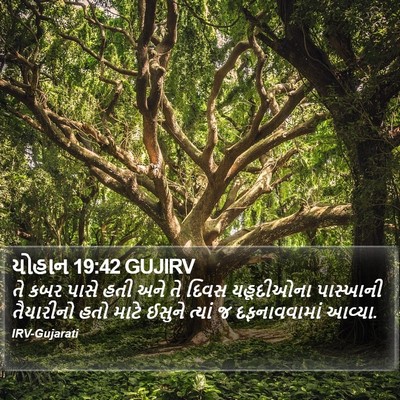 યોહાન 19:42 GUJIRV Bible Verse Image