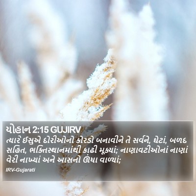 યોહાન 2:15 GUJIRV Bible Verse Image