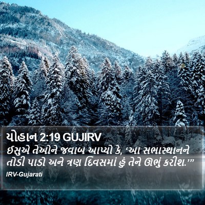 યોહાન 2:19 GUJIRV Bible Verse Image