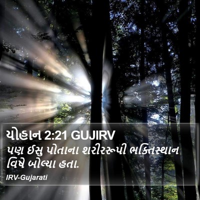 યોહાન 2:21 GUJIRV Bible Verse Image