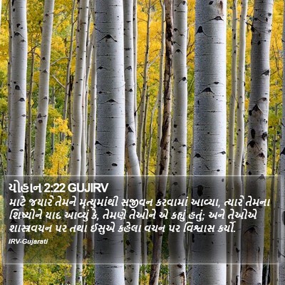 યોહાન 2:22 GUJIRV Bible Verse Image