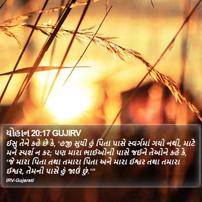 યોહાન 20:17 GUJIRV Bible Verse Image