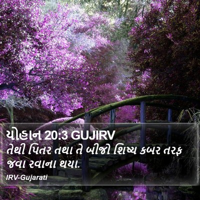 યોહાન 20:3 GUJIRV Bible Verse Image