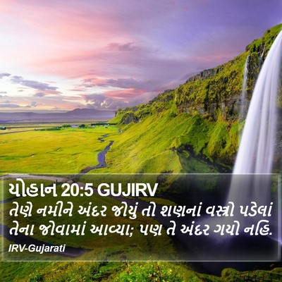 યોહાન 20:5 GUJIRV Bible Verse Image