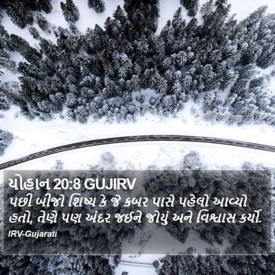 યોહાન 20:8 GUJIRV Bible Verse Image