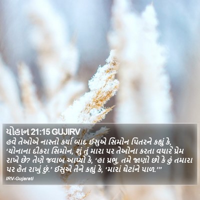 યોહાન 21:15 GUJIRV Bible Verse Image