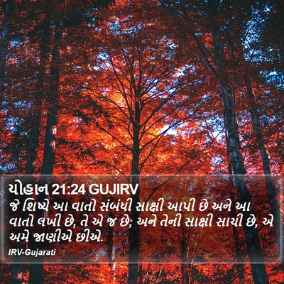 યોહાન 21:24 GUJIRV Bible Verse Image