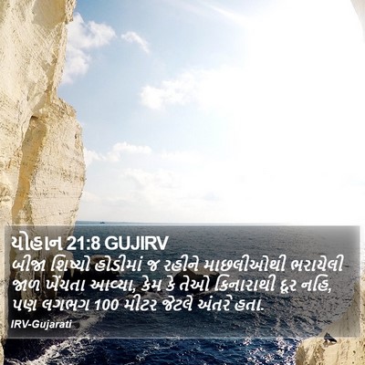 યોહાન 21:8 GUJIRV Bible Verse Image