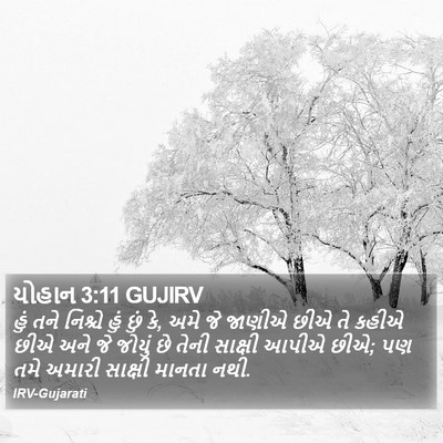 યોહાન 3:11 GUJIRV Bible Verse Image