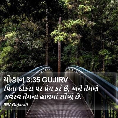 યોહાન 3:35 GUJIRV Bible Verse Image