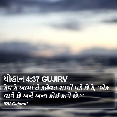 યોહાન 4:37 GUJIRV Bible Verse Image