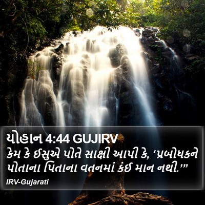 યોહાન 4:44 GUJIRV Bible Verse Image