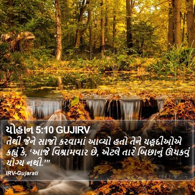 યોહાન 5:10 GUJIRV Bible Verse Image