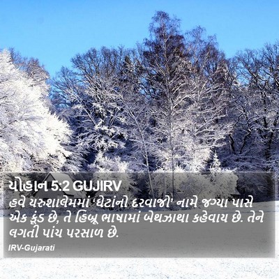 યોહાન 5:2 GUJIRV Bible Verse Image