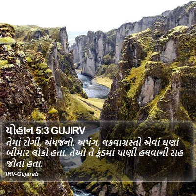 યોહાન 5:3 GUJIRV Bible Verse Image