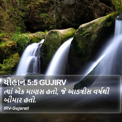 યોહાન 5:5 GUJIRV Bible Verse Image