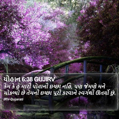 યોહાન 6:38 GUJIRV Bible Verse Image