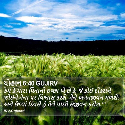 યોહાન 6:40 GUJIRV Bible Verse Image