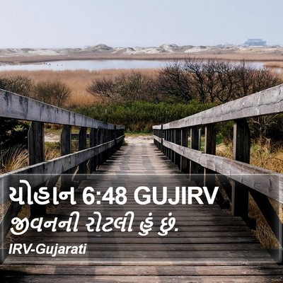 યોહાન 6:48 GUJIRV Bible Verse Image