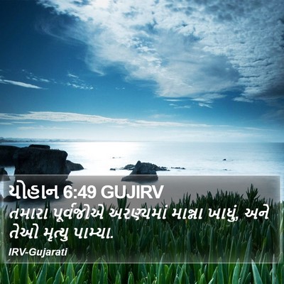 યોહાન 6:49 GUJIRV Bible Verse Image