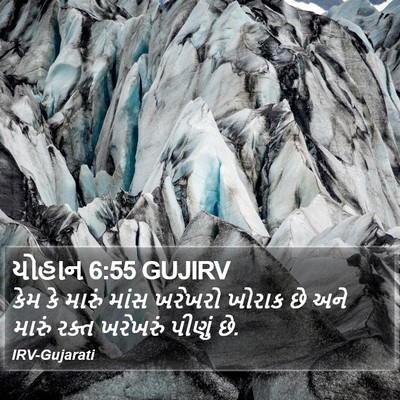 યોહાન 6:55 GUJIRV Bible Verse Image