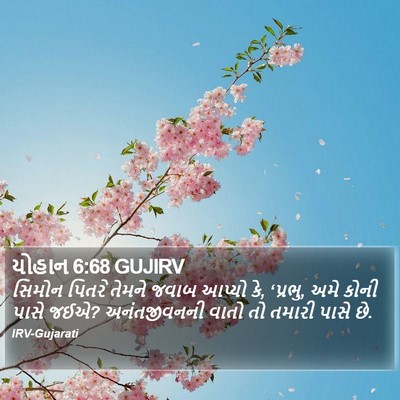 યોહાન 6:68 GUJIRV Bible Verse Image