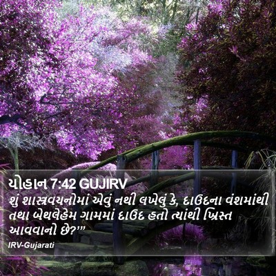 યોહાન 7:42 GUJIRV Bible Verse Image