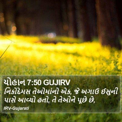યોહાન 7:50 GUJIRV Bible Verse Image